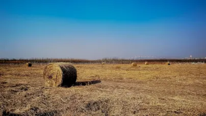 Casholot Casino Aplicación móvil